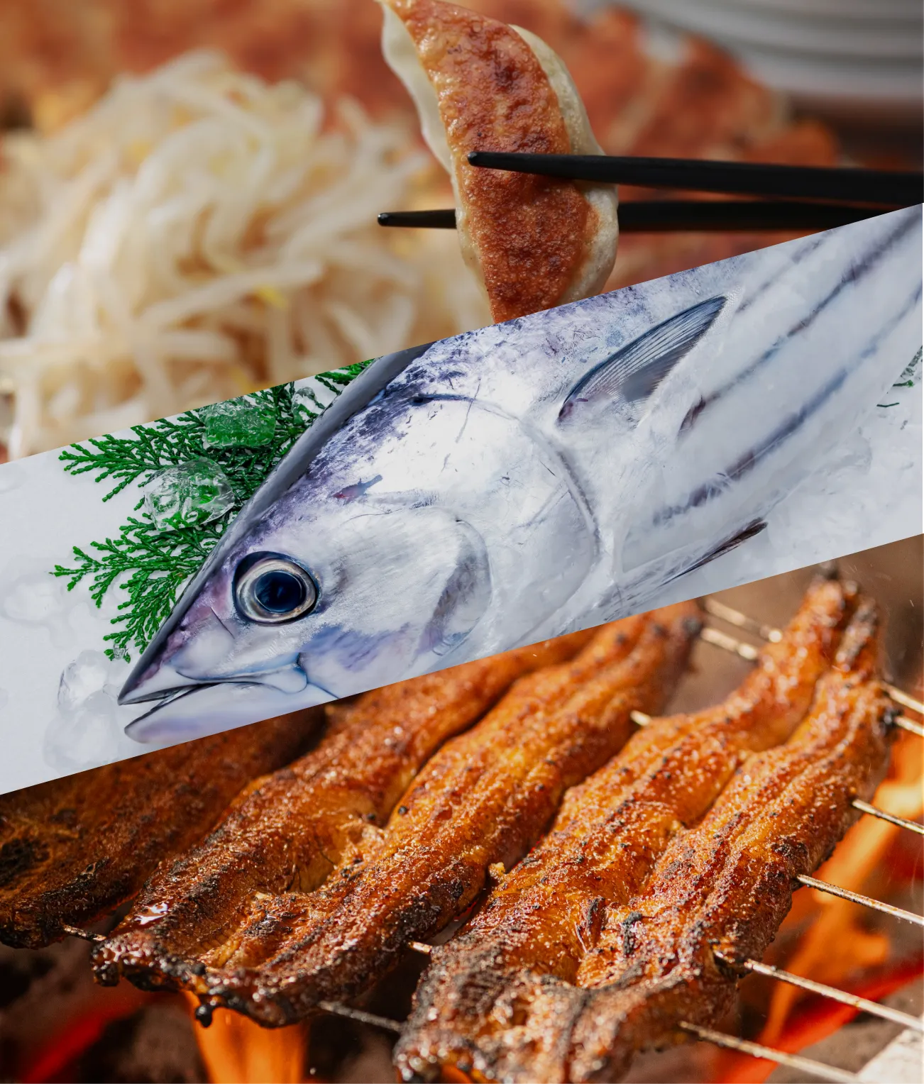 遠州の食文化と育む